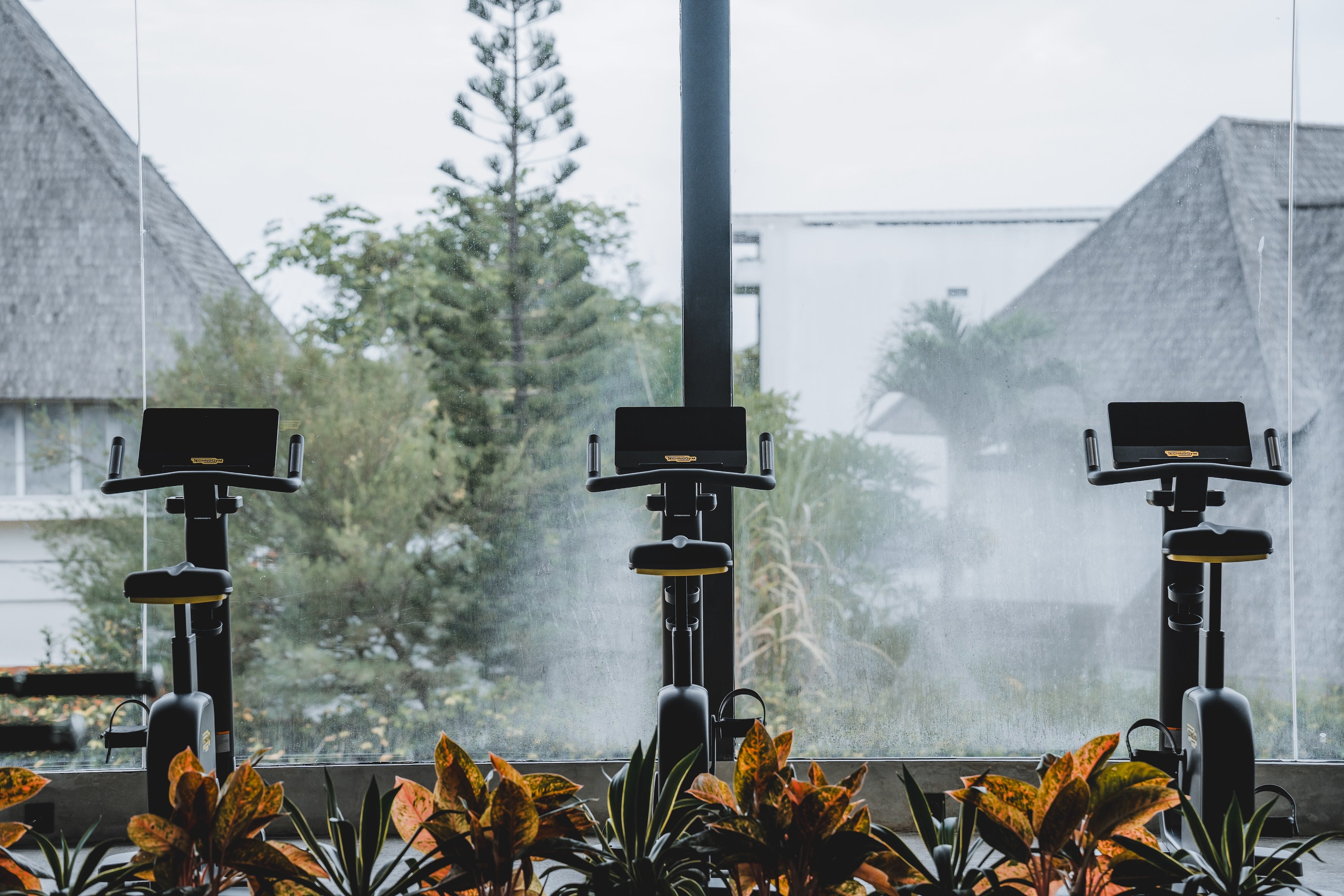 Three modern stationary bikes positioned in front of large floor-to-ceiling windows with a view of tropical greenery and thatched rooftops. Decorative plants line the base of the window, adding a natural touch to the indoor fitness setting.