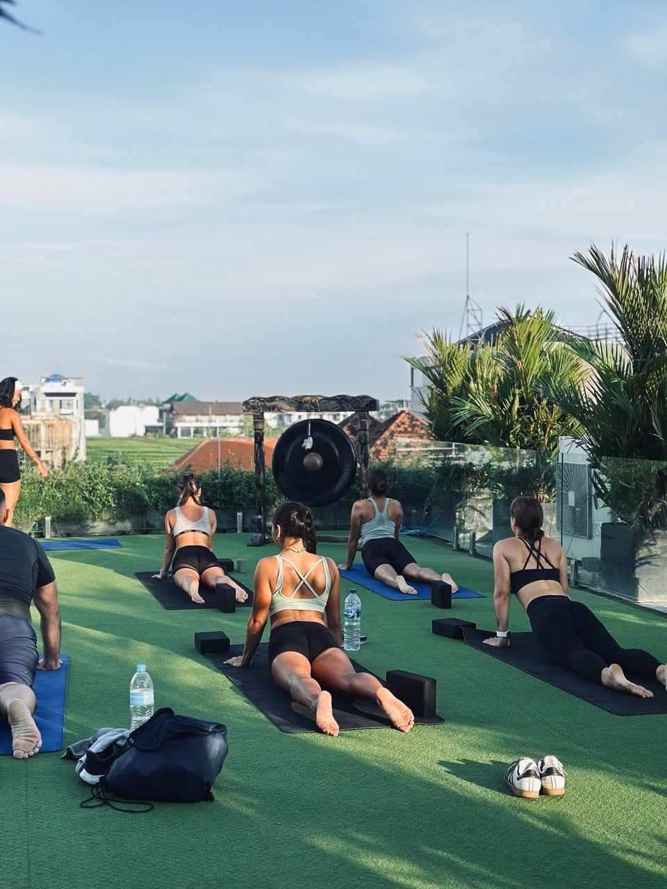 Group of people practicing cobra pose on yoga mats during a rooftop morning session surrounded by tropical plants and overlooking a city skyline.