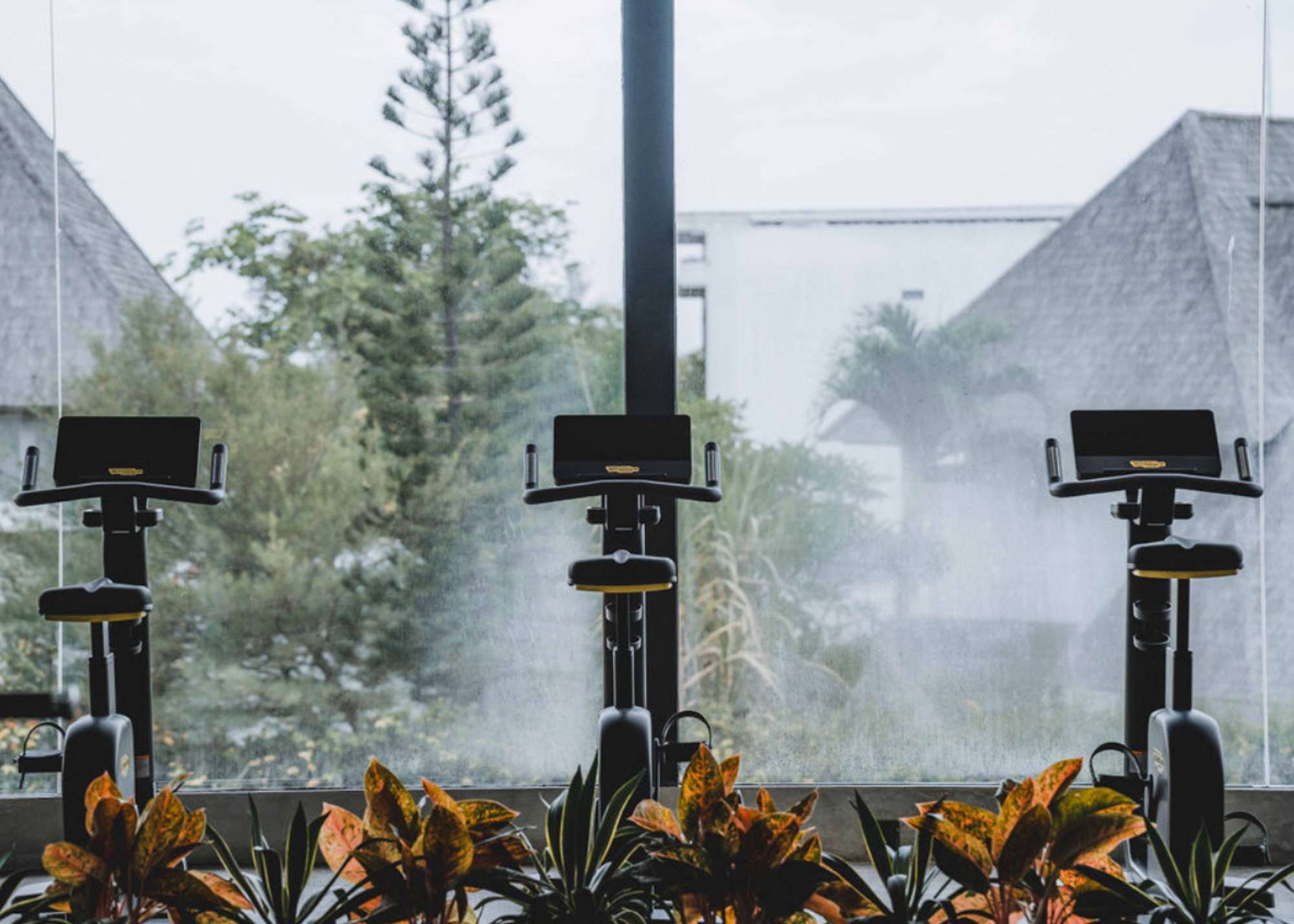 Three stationary bikes positioned in front of large glass windows at Wrong Gym Bali, overlooking tropical greenery and rooftops.