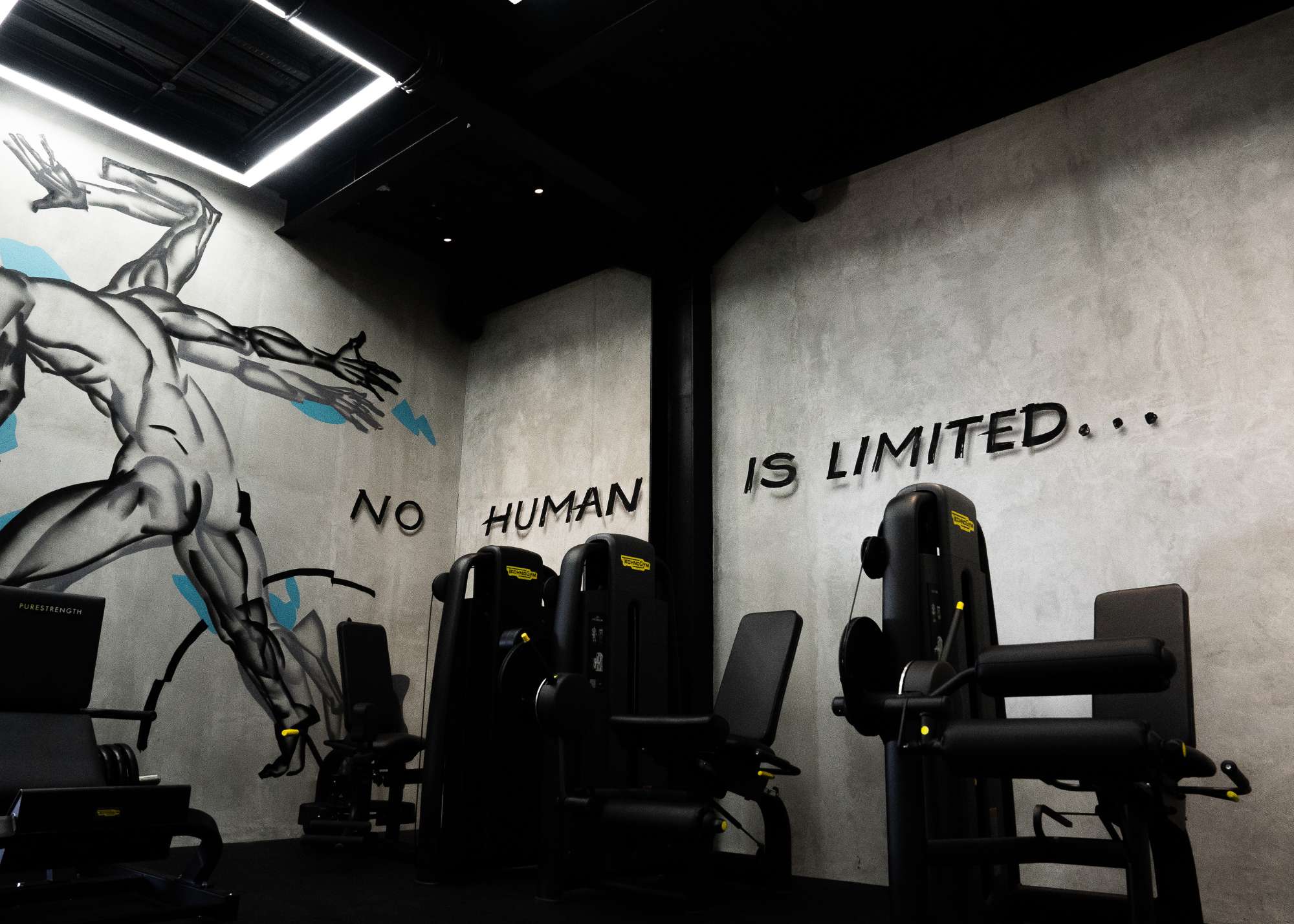 Strength training area at Wrong Gym Bali featuring Technogym machines beneath a motivational mural that reads 'No Human Is Limited' with dynamic wall art of a muscular human figure in motion.
