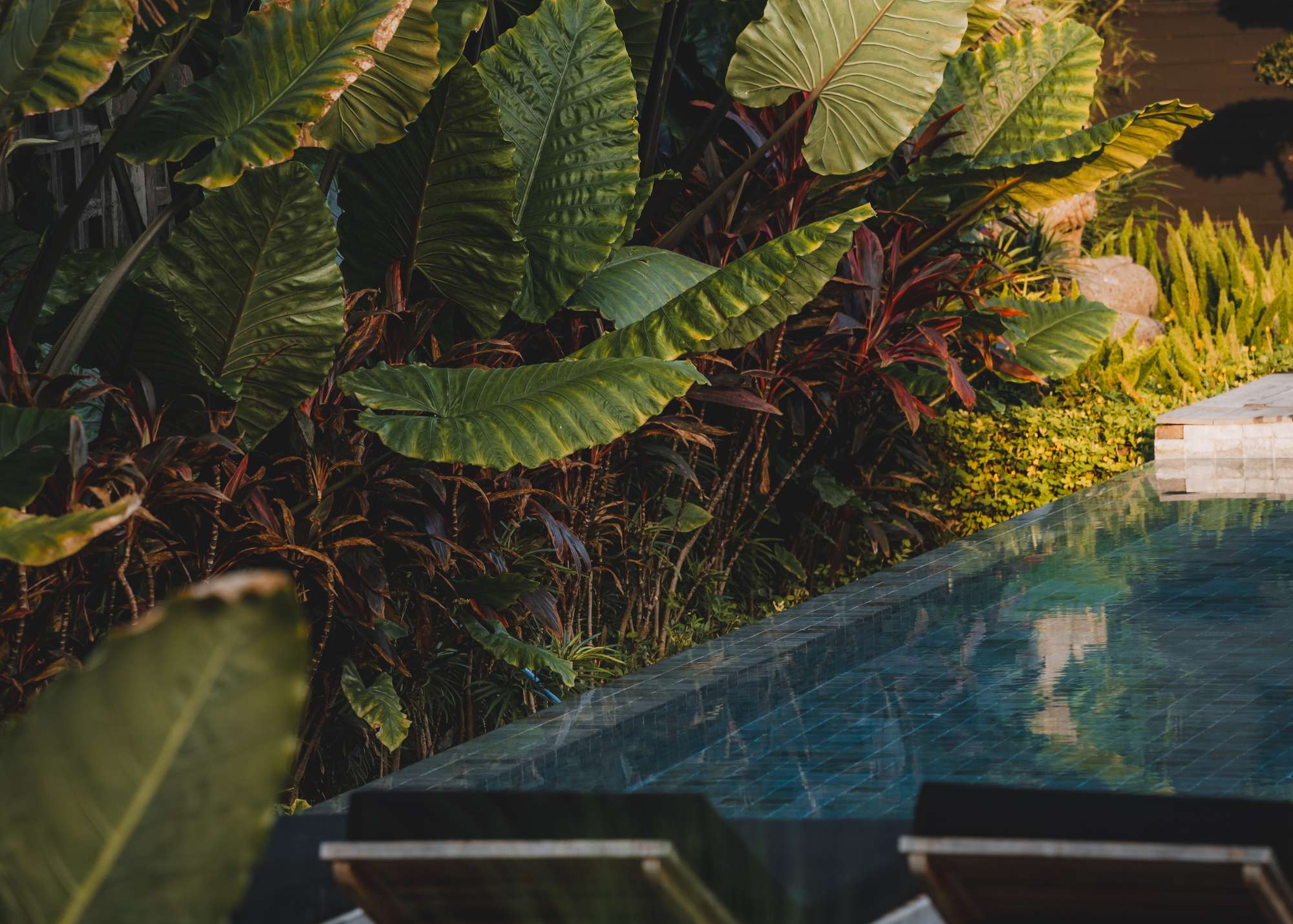 Serene view of the spa recovery pool at Wrong Gym Bali, framed by lush tropical foliage and sunlit greenery, evoking a sense of balance and wellness.