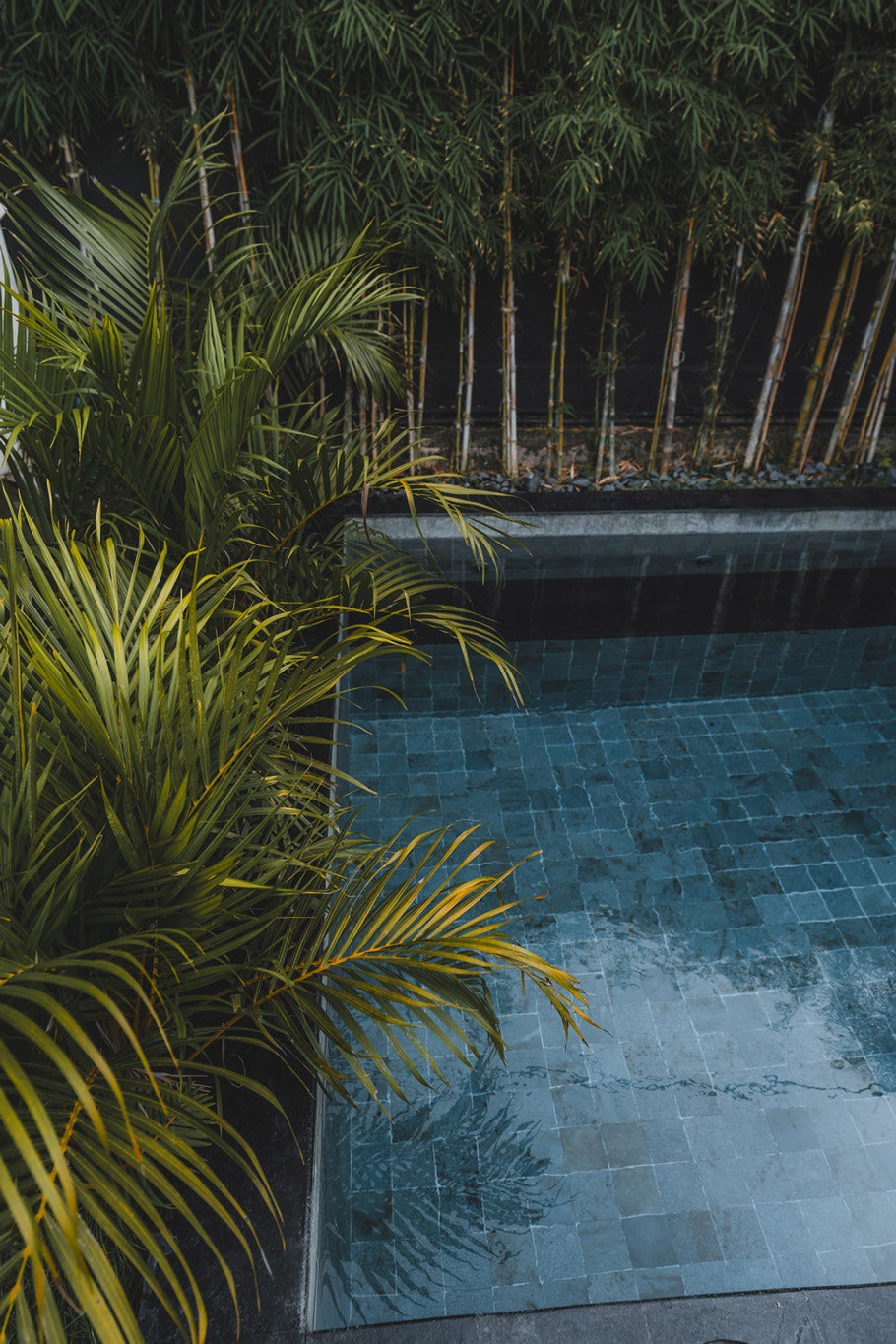 Tranquil corner of the recovery pool at Wrong Gym Bali, surrounded by tropical palm plants and bamboo, creating a serene wellness retreat atmosphere.
