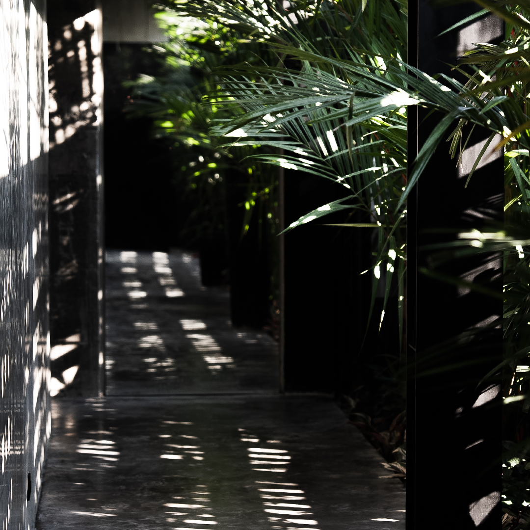 A minimalist hallway at Wrong Gym, featuring a concrete floor and wall, accented with lush green tropical plants casting natural shadows through vertical slats, creating a serene, architectural atmosphere.