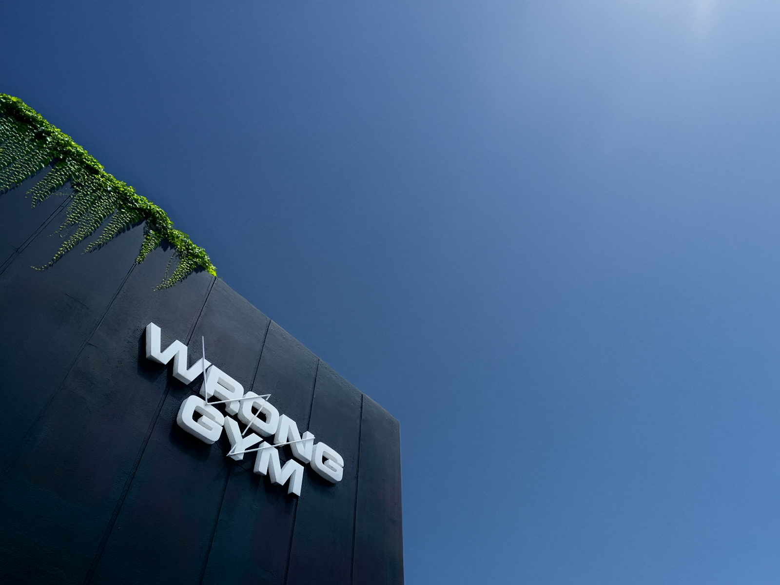 Exterior wall of Wrong Gym Bali featuring a modern white 3D logo sign against a dark structure, with green vines cascading from the roof edge under a bright blue sky.