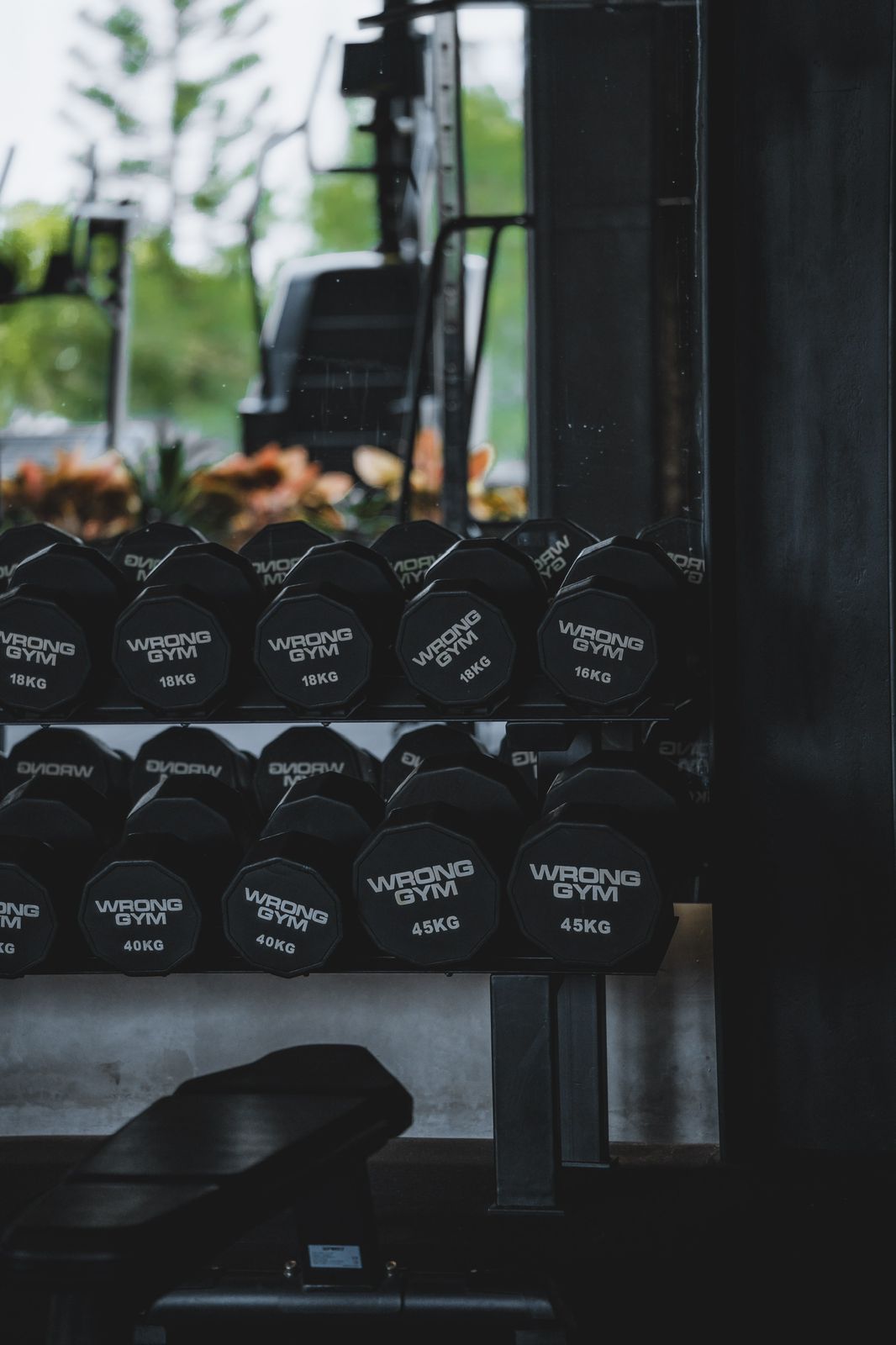 Wrong Gym branded dumbells inside an open gym